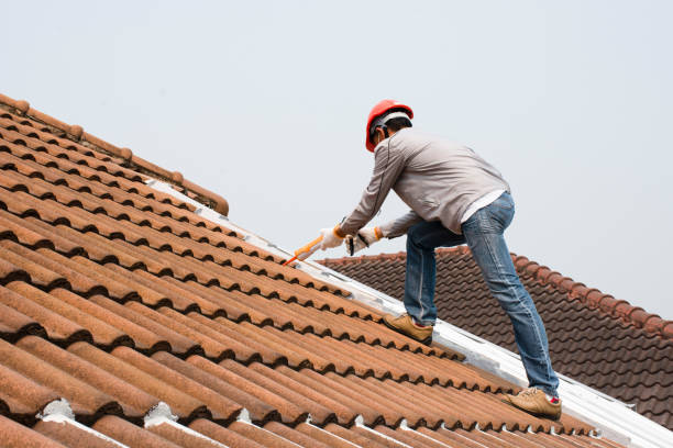 Best Gutter Installation and Repair  in Leachville, AR