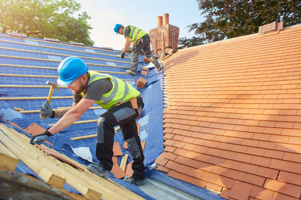 Best Cold Roofs  in Leachville, AR